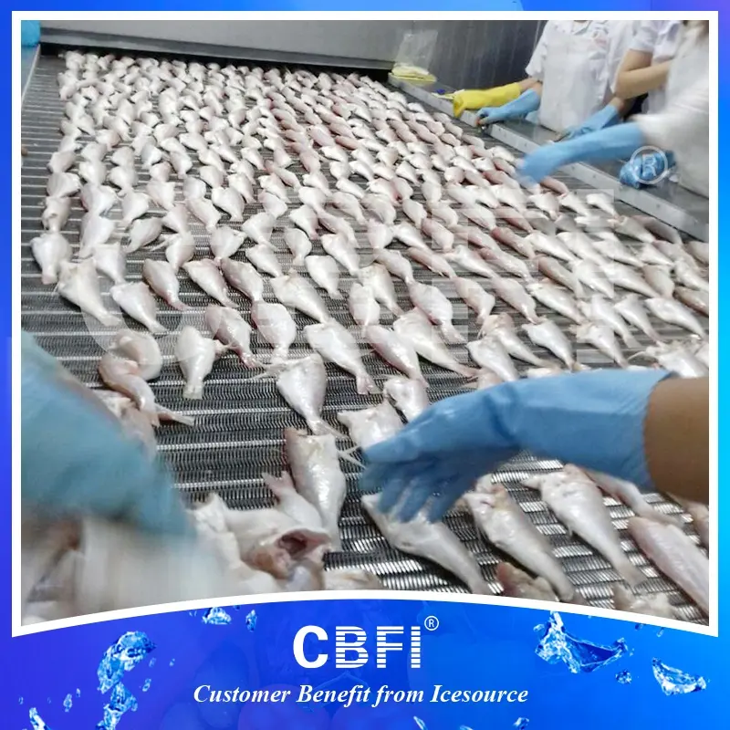 高い生産性を持つ魚全体のための工場インピンジメントIqfトンネル冷凍庫