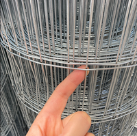Rouleaux de Grillage Soudé Galvanisé Robuste pour Clôture de Chantier, Volière et Jardinières