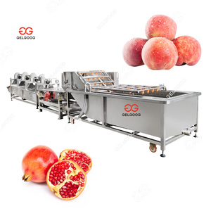 Máquina de Lavado de Frutas y Verduras de Doble Cámara con Aireación de Ozono de 300-500 kg/h, Máquina Exprimidora de Frutas y Verduras - Product Image 6