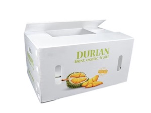 Cajas de Embalaje de Mariscos y Ostras de Polipropileno Corrugado Reciclable al Mejor <span class=keywords><strong>Precio</strong></span>, Cajas de Plástico Huecas para Almacenamiento y Transporte de Langostas - Product Image 6
