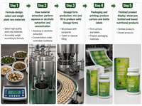 Capsules de fibres alimentaires OEM, mélange botanique, complément alimentaire, marque privée, usage adulte