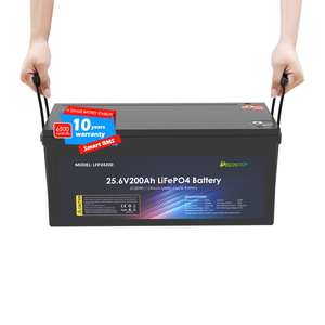 Delong <b>24V</b> Lithium Ion Replace Lead-acid <b>Batteries</b> Solar Energy Storage Deep Cycle 25.6V 200Ah <b>Battery</b> LFP24200 <b>24v</b> Batt - Product Image 1