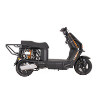 Bicicleta Eléctrica Urbana de 1200W 60V/72V en Oferta, Bicicleta Deportiva con Neumáticos de Vacío, Frenos de Disco, Gran Autonomía, Moderna para Adultos