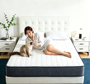 Matelas à ressorts ensachés bon marché en rouleau, matelas hybride compressé sous vide, tailles Twin, Full, Queen, King <span class=keywords><strong>pour</strong></span> appartement - Product Image 1