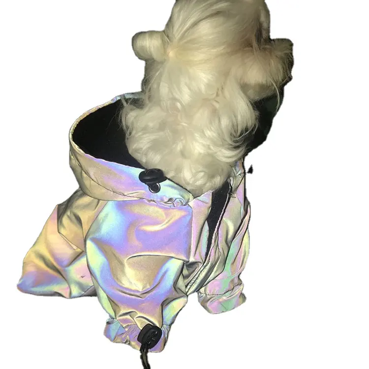 Dernière arrivée 2023 Cute Fashion New Breathable Home Hoodie Reflective Dog Dress Luxury Autumn Winter Pet Clothes