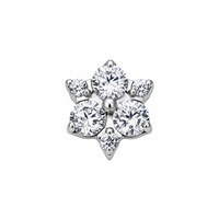 Clous d'oreilles classiques unisexes en titane et zircon, avec têtes de remplacement pour cartilage hélix à filetage interne, pour cadeau