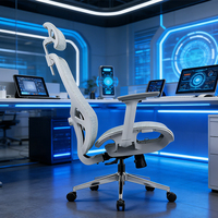 Chaise de bureau ergonomique exécutive à hauteur réglable personnalisable, dossier haut en maille, design pivotant, structure en plastique