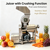 Industriële citruspers/sapcentrifuge van roestvrij staal voor citroen, appel, peer, ananas, wortel; commerciële sapmachine; spiraalpers