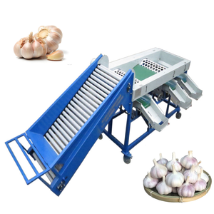Máquina Eléctrica Separadora de Dientes de Ajo, Limpiadora, Peladora, Clasificadora y Procesadora Automática de 2.2kw, Superventas - Product Image 1