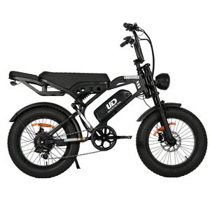 Brazil warehouse 20*4-inch tires 750W motor 48V15AH lithium battery hydraulic disc brake dual suspension <b>electric</b> mountain bike - Product Image 2