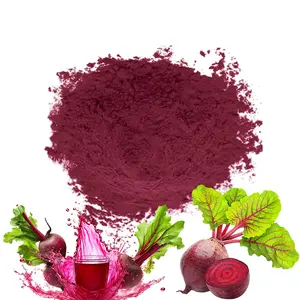 Factory Natural Hot Air Drying Red Vacuum Packed Organic Extract Beetroot Powder