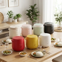 Cuisinière à riz électrique intelligente mini personnalisée antiadhésive 2L avec boîtier en plastique et tasse doseuse