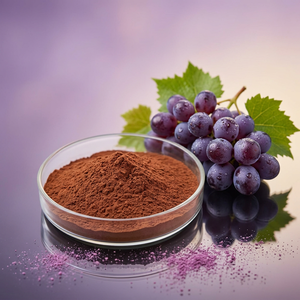 Fabricant de poudre d'extrait de raisin de haute pureté, fournisseur en gros d'extrait de raisin de qualité alimentaire - Product Image 1