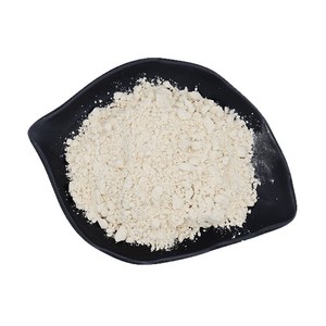 Poudre de protéines d'arachide de qualité alimentaire, teneur en protéines 50% - Product Image 1