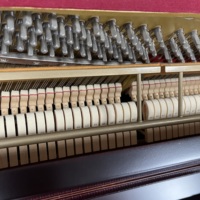 Samick SC310CRD Buatan Korea Premium Tipe Tegak untuk Rekital Rumah
