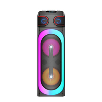 Altavoz Profesional Activo para Exteriores de 150 W con Bluetooth 5.0, Luces RGB, 2 Micrófonos, Doble Bajo de 12 Pulgadas, Inalámbrico, para DJ y Karaoke