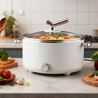Casserole électrique multifonctionnelle 2 en 1 de 2 L avec protection contre la surchauffe, revêtement antiadhésif, couvercle en verre, en acier inoxydable