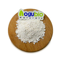 AOGUBIO Garcinia Cambogia Extract HCA Natuurlijk Plantaardig Extract Garcinia Cambogia Extract