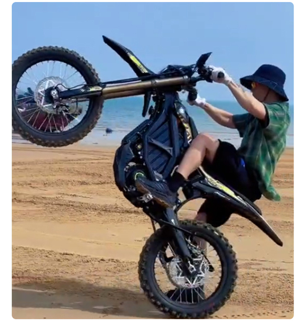 Best quality sur-ron sur ron ultra bee black edition adult motorcycle 19inch off road electric bike