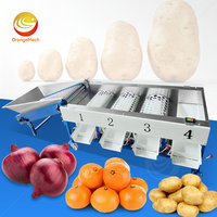ORME Automatische Aardappel Ui Palmvrucht Dadel Sorteermachine Blauwe Bes Citrus Mango Maat Sorteer- en Graderingsmachine
