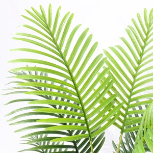 <span class=keywords><strong>Palmier</strong></span> artificiel à feuilles de <span class=keywords><strong>phoenix</strong></span>, fabriqué à la machine, pour plantes vertes <span class=keywords><strong>en</strong></span> <span class=keywords><strong>pot</strong></span>, <span class=keywords><strong>palmier</strong></span> Areca, décoration d'intérieur, <span class=keywords><strong>palmier</strong></span> à feuilles de <span class=keywords><strong>phoenix</strong></span> <span class=keywords><strong>en</strong></span> <span class=keywords><strong>pot</strong></span> sur pied - Product Image 2