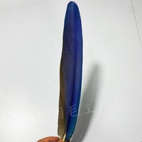 Plumes de faisan naturelles brutes pour la confection de costumes de carnaval, plumes de perroquet 20-50cm, bleues, pour coiffures, accessoires de tête, sacs à dos et danse
