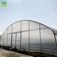 Serre agricole MYXL à simple travée avec toit en PE et aérations papillon, fabriquée en Chine