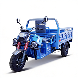 <span class=keywords><strong>Trimoto</strong></span> Eléctrico con Caja de <span class=keywords><strong>Carga</strong></span> de Tamaño Flexible 1.35x2~2.6m, Motor de 2200W, <span class=keywords><strong>Carga</strong></span> Pesada de 1.5 Toneladas, Latinoamérica - Product Image 1
