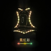 Harnais de chien de lampe de corde de broderie de lueur de LED en gros d'usine avec la boîte de magasin fécale pour promener le chien la nuit