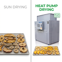 Automatische warmtepomp bananenchipsdroogoven 300kg PLC-besturing voor grote fabrieken Oost-Afrika