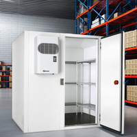 Mini unité de stockage de chambre froide mobile 380V/220V facile à utiliser conteneur de petite taille pour la vente de restaurants et d'industries agricoles