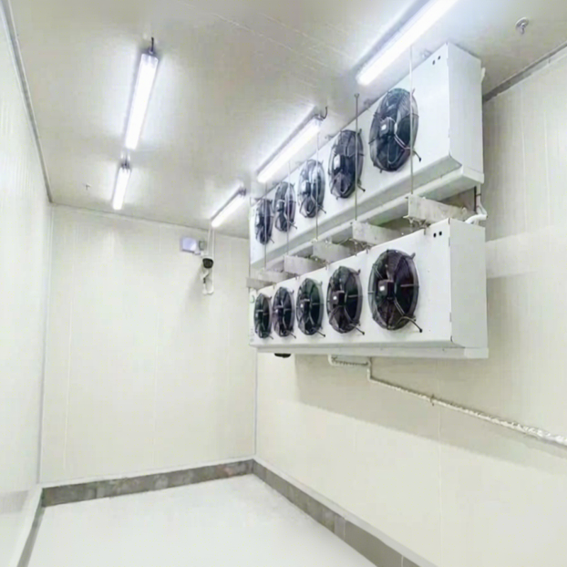 Refrigerated CE Certified Commercial Customizable Storage