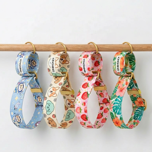 Set Collare e Guinzaglio per Cani Personalizzato in Nylon <span class=keywords><strong>Grigio</strong></span> per Levriero, con Collare da 55mm per Addestramento e Passeggio - Product Image 1