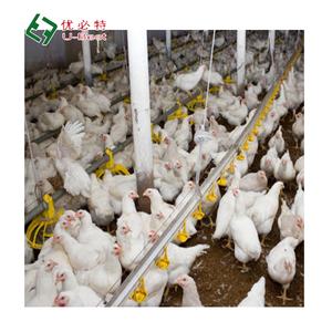 Bonne vente Mangeoires et abreuvoirs automatiques pour poulets de ferme/<span class=keywords><strong>maison</strong></span>/poulailler Matériel d'élevage de volailles - Product Image 6
