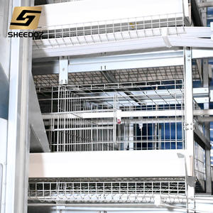 <span class=keywords><strong>Cage</strong></span> à poules pondeuses pour élevage en batterie, équipement d'élevage pour fermes avicoles - Product Image 3