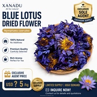 Fleurs de lotus bleues |   Prix Agent Exclusif |   Fleur de Nymphaea Caerulea séchée égyptienne en vrac, thé séché, conforme aux normes UE, 500g/sac