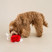 Jouet pour chien en peluche interactif avec boîte-cadeau rouge, pour dissimuler les friandises, adapté aux chiens de petite, moyenne et grande taille