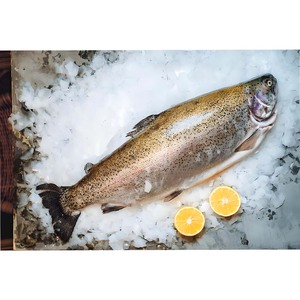 Machine à glace en flocons industrielle refroidie par air de 0,3 à 50 tonnes avec stockage de 1000 kg pour la conservation des produits aquatiques, les supermarchés et les usines de glace - Product Image 3