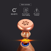 Diffuseur d'huiles essentielles en bois écologique sans eau, vente en gros, température constante 65°C, rechargeable par USB, diffuseur d'arômes portable