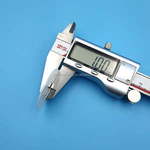 Substrato in Zirconia Stabilizzata con Ossido di Ittrio, Parti in Ceramica di Ossido di Zirconio, Piastre in Ceramica ZrO2 - Product Image 2