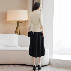 V-neck Sleeveless Satin Dress Sheath Silhouette Solid Color Professional Career Wear For Women - Product Image 4