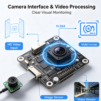 Placa PCBA de Procesamiento de Video para Videoportero, Módulo PCBA WiFi para Videoportero, Placa de Control de Audio y Video OEM ODM para Hogar Inteligente