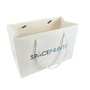 Custom Luxury Gift Paper Bags and Boxes with Handle Recycled Cardboard with Varnishing Surface for Shopping with Your Logo