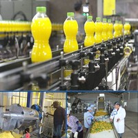 Multifunctionele Mangopulpverwerkingsmachines Nieuwe Staat Jam Maken Puree Productielijn Motorpomp Fruitvoedselverwerking