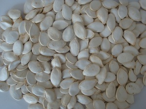 Nihewan 11Cm Hữu Cơ Tuyết Trắng Bí Ngô Hạt Giống Nguyên Khô Trung Quốc Hạt Giống Bí Ngô Giá - Product Image 5