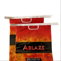Sac en PP tissé laminé imprimé BOPP étanche de 4 kg, 5 kg, 10 kg, 25 kg pour briquettes de charbon de bois, charbon de barbecue, charbon de bois