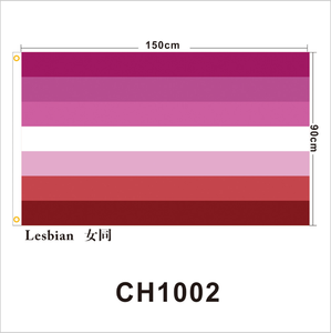 ธงเลสเบี้ยนที่มีความภาคภูมิใจ90*150ซม. ธงสายรุ้ง3x5ft แบนเนอร์โพลีเอสเตอร์ & ผ้าไหมกะเทยแบนเนอร์ความภาคภูมิใจออกแบบโลโก้ได้ตามต้องการ - Product Image 4