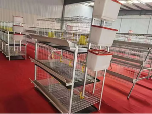 Premium galvanizli çelik H tipi Broiler tavuk kafesi yeni durum verimli hayvancılık tavuk çiftliği ekipmanları - Product Image 4