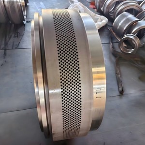 <span class=keywords><strong>Matrice</strong></span> de moule annulaire CPM 7932 pour granulateur, en acier inoxydable X46Cr13, pièce de rechange pour machine <span class=keywords><strong>à</strong></span> granulés d'aliments - Product Image 1