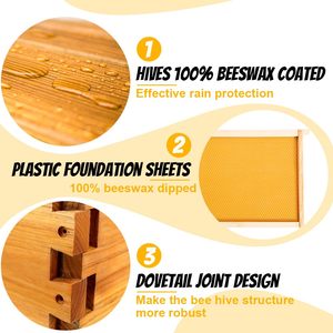 Colmena Langstroth Súper Mediana de 10 Cuadros, Nueva Condición, Caja de Abejas con Cera de Abeja 100% Inmersa, Colmena de Madera para Abejas - Product Image 4